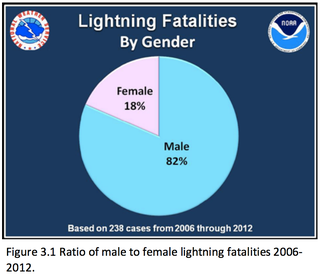 Illustration for article titled New statistics on lightning deaths in the U.S. reveal weird patterns